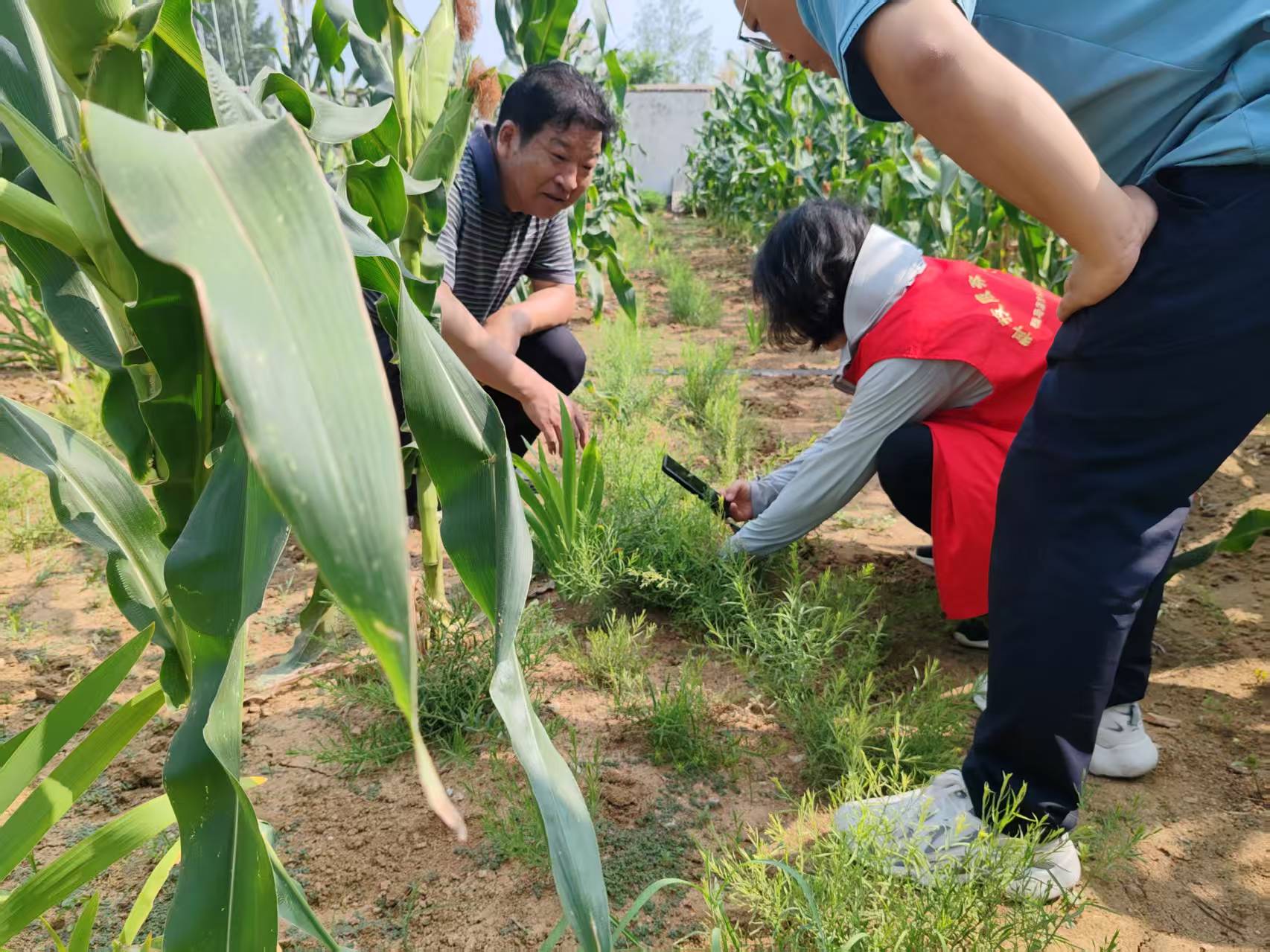 用科技力量守護“道地藥香”　助力“中國藥谷”建設(shè)