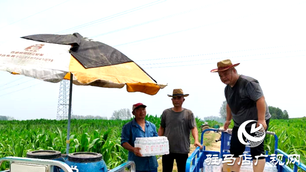 遂平縣和興鎮(zhèn)：多措并舉抗旱情同心協(xié)力保民生