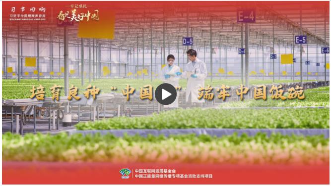 【牢記囑托·看見美好中國】培育良種“中國芯” 端牢中國飯碗