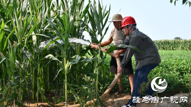 國(guó)網(wǎng)確山縣供電公司:汗水鑄就“強(qiáng)電網(wǎng)” 守護(hù)秋糧“生命線”