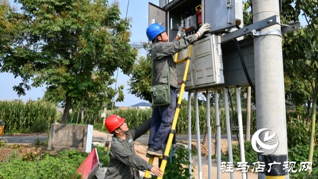 國(guó)網(wǎng)確山縣供電公司:汗水鑄就“強(qiáng)電網(wǎng)” 守護(hù)秋糧“生命線”