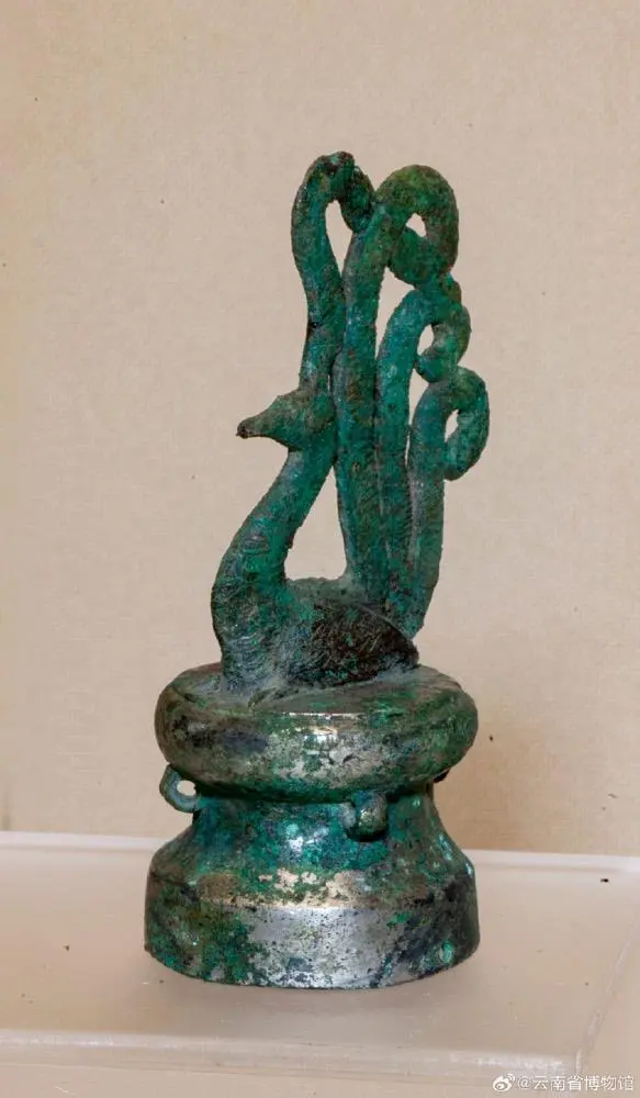 華美端莊，2000多年前它就是“百鳥之王”