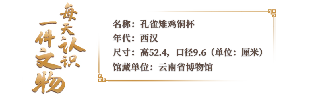 華美端莊，2000多年前它就是“百鳥之王”