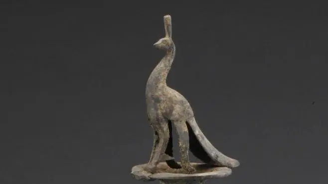 華美端莊，2000多年前它就是“百鳥之王”