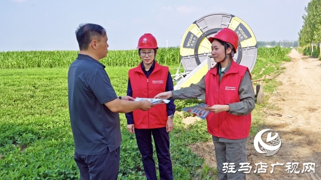 國網西平縣供電公司:抗旱保電有實招 守好農民“糧”袋子