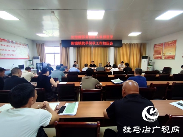 平輿縣陽城鎮(zhèn)：抗旱保秋再加壓，攻堅沖刺保秋糧