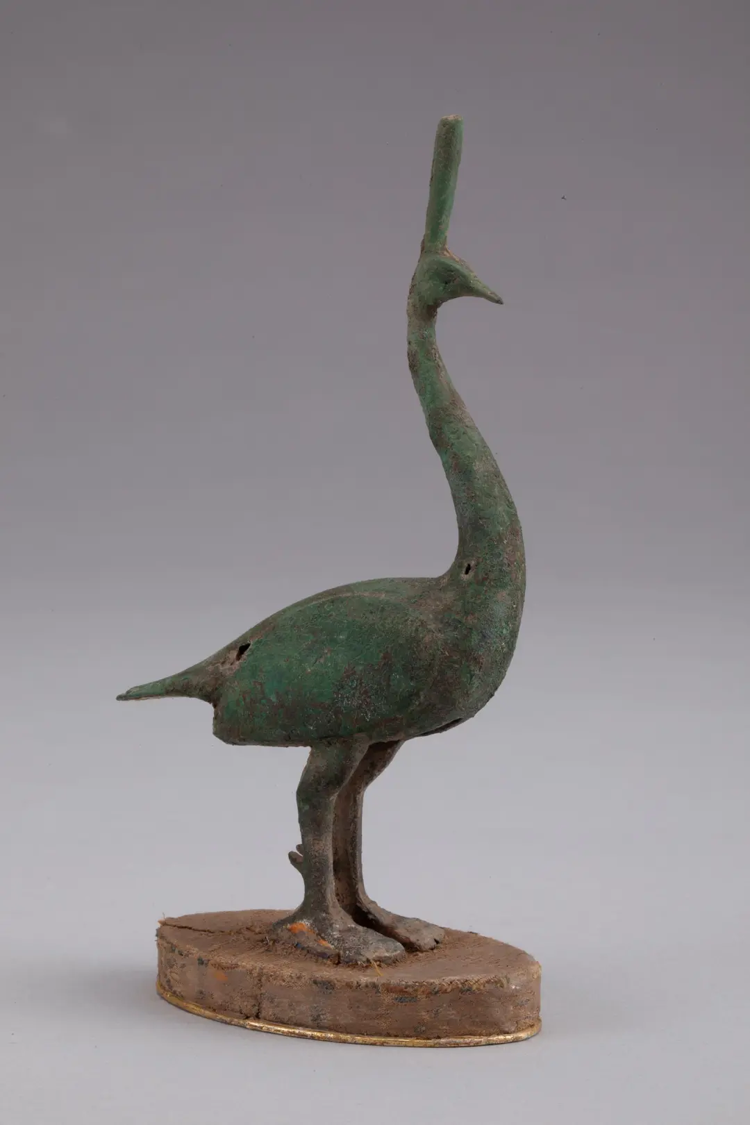 華美端莊，2000多年前它就是“百鳥之王”