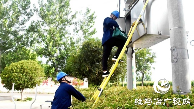 國網(wǎng)平輿縣供電公司:多措并舉護農(nóng)耕 抗旱保電潤心田