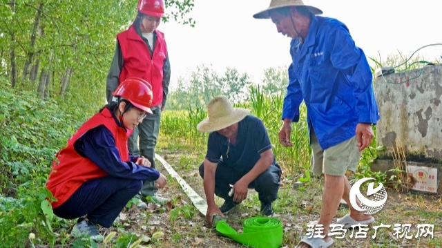 國網西平縣供電公司:抗旱保電有實招 守好農民“糧”袋子