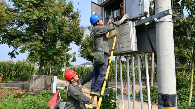 國(guó)網(wǎng)確山縣供電公司：汗水鑄就“強(qiáng)電網(wǎng)”  守護(hù)秋糧“生命線(xiàn)”