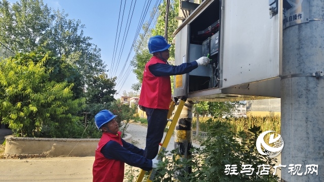 國網(wǎng)新蔡縣供電公司:精細排查筑根基 抗旱保秋顯實效