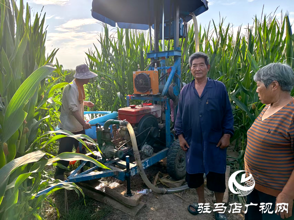 平輿縣射橋鎮(zhèn)：抗旱井涌甘泉 力保秋糧穩(wěn)民心