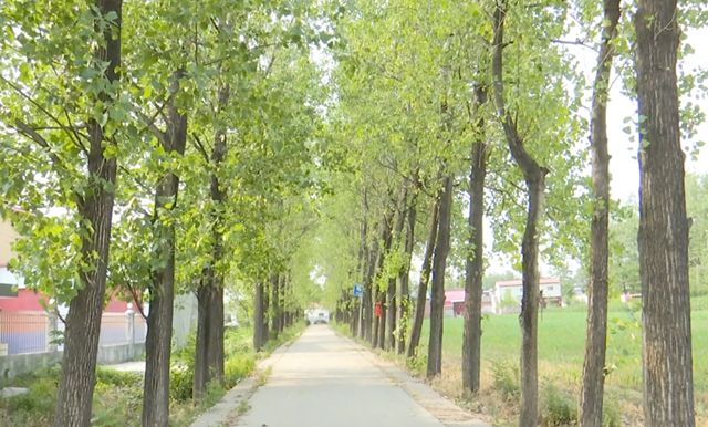 驛城區(qū)朱古洞村：文明生態(tài)村建設(shè)鋪就鄉(xiāng)村振興路