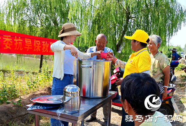 平輿縣楊埠鎮(zhèn)：干群同心送“甘霖” 共筑抗旱“清涼線”