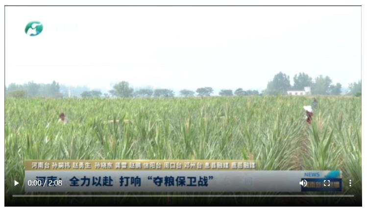 河南：全力以赴 打響“奪糧保衛(wèi)戰(zhàn)”