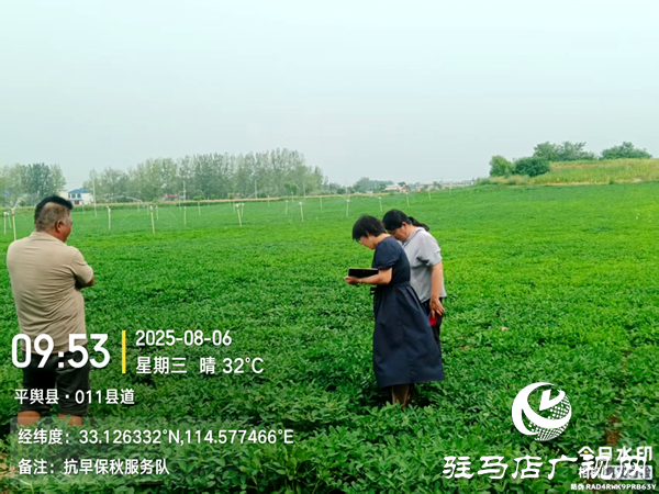 平輿縣射橋鎮(zhèn)：專家下鄉(xiāng)傳農(nóng)技 科學(xué)防治保豐收