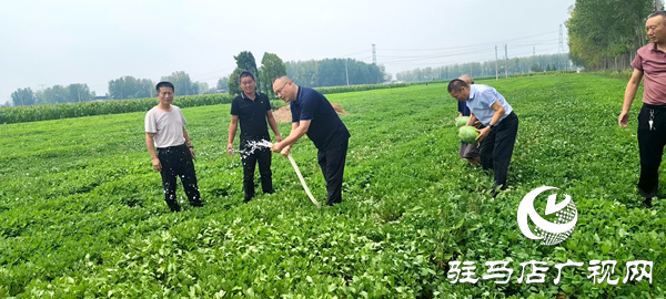 平輿縣中等職業(yè)學(xué)校助力“抗旱保秋”，守護(hù)群眾“糧袋子”