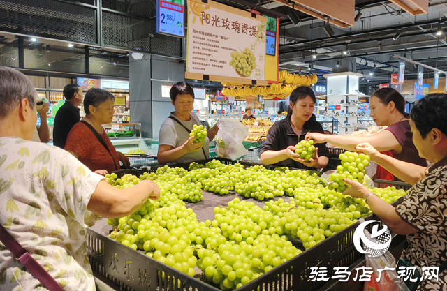陽光玫瑰價格 “大跳水” 從 “貴族水果” 變市民餐桌?？? width=