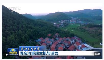 感知生態(tài)之變丨母親河重現(xiàn)生機(jī)與活力