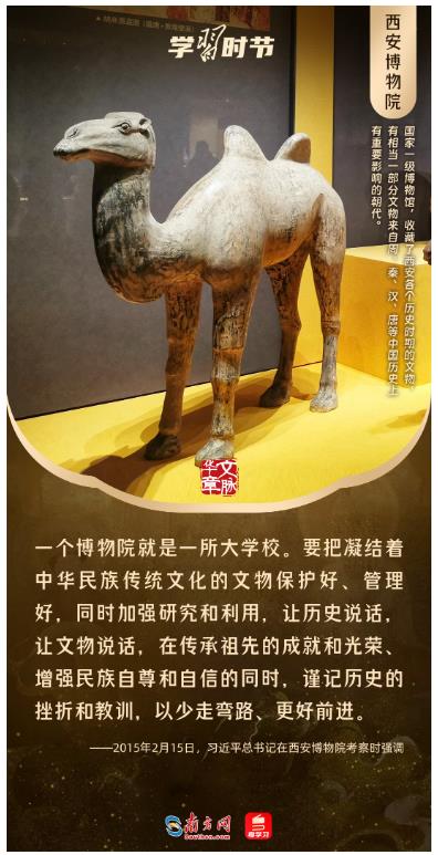 文脈華章丨暑期“博物館熱”，跟著總書記探尋中華文明