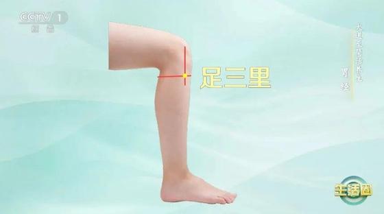 立秋如何養(yǎng)肺？怎么吃更健康？換季養(yǎng)生小貼士請查收