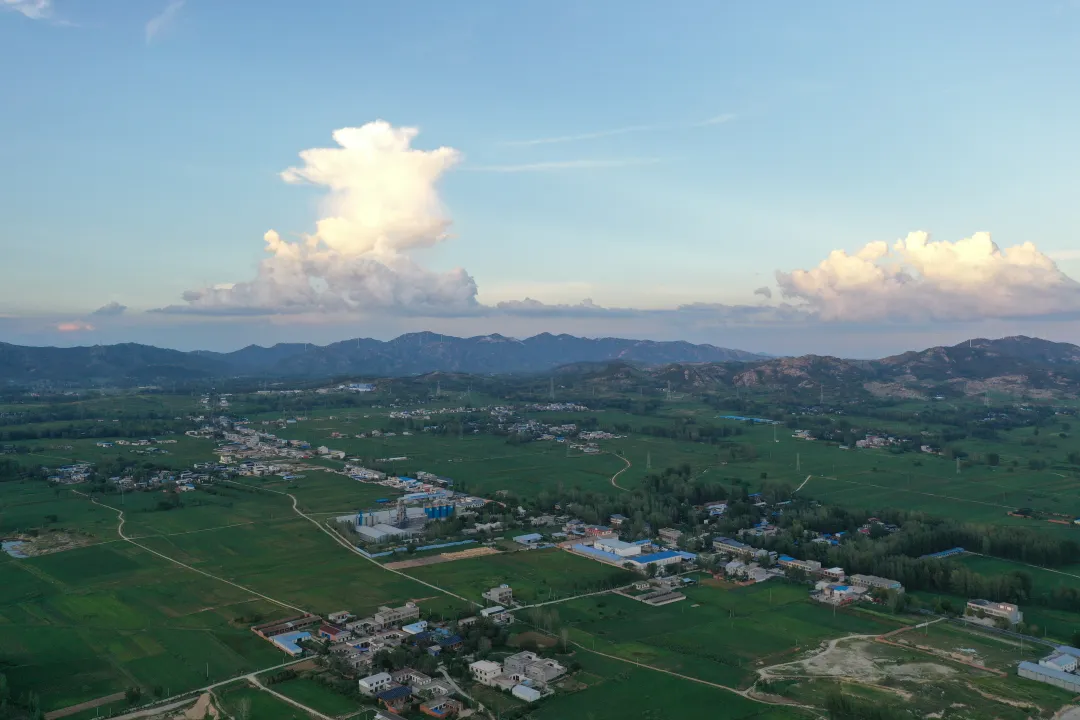 縣區(qū)動態(tài) | 田園盛景 羊冊風(fēng)光