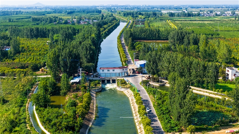 遭受六十四年一遇極端高溫干旱“烤”驗 抗旱保秋 河南夠拼