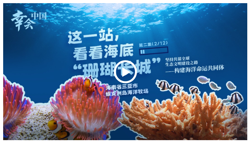 幸會(huì)中國(guó) | 守護(hù)珊瑚之美，共筑“海洋命運(yùn)共同體”
