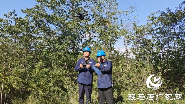 國網(wǎng)確山縣供電公司：奮戰(zhàn)“秋老虎”，織密“清涼網(wǎng)”