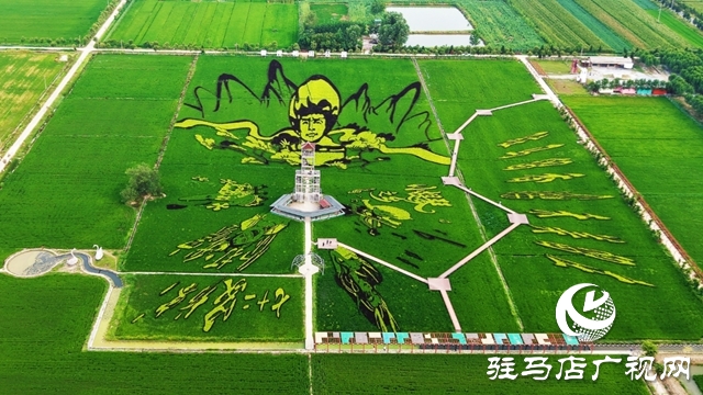 “稻夢(mèng)田園·活力鄉(xiāng)村”體育嘉年華將在確山留莊稻田公園開(kāi)啟