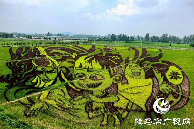 “稻夢(mèng)田園·活力鄉(xiāng)村”體育嘉年華將在確山留莊稻田公園開(kāi)啟