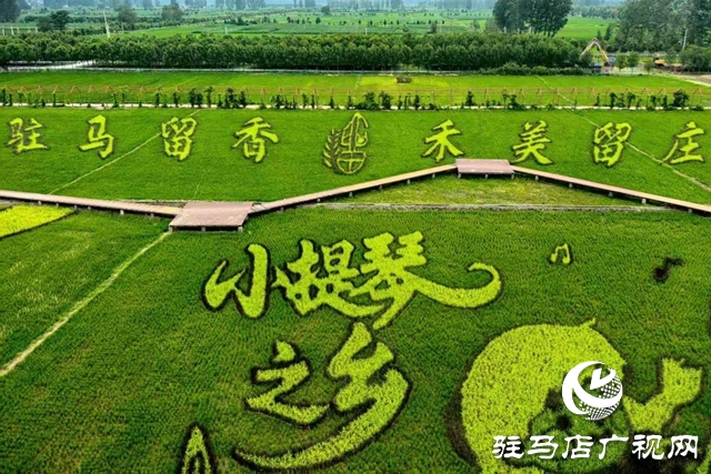 “稻夢(mèng)田園·活力鄉(xiāng)村”體育嘉年華將在確山留莊稻田公園開(kāi)啟