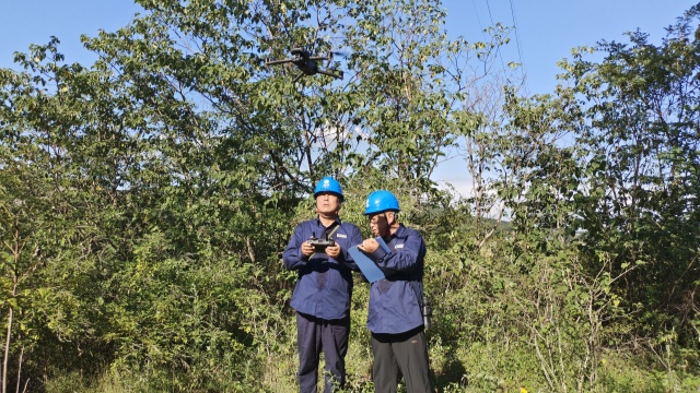 國網(wǎng)確山縣供電公司：奮戰(zhàn)“秋老虎”，織密“清涼網(wǎng)”