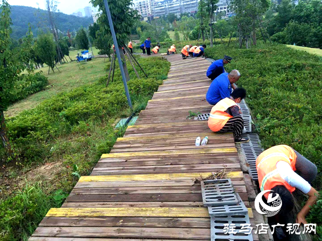 確山縣住建局：推動(dòng)公園提質(zhì) 讓群眾幸福感持續(xù)升溫