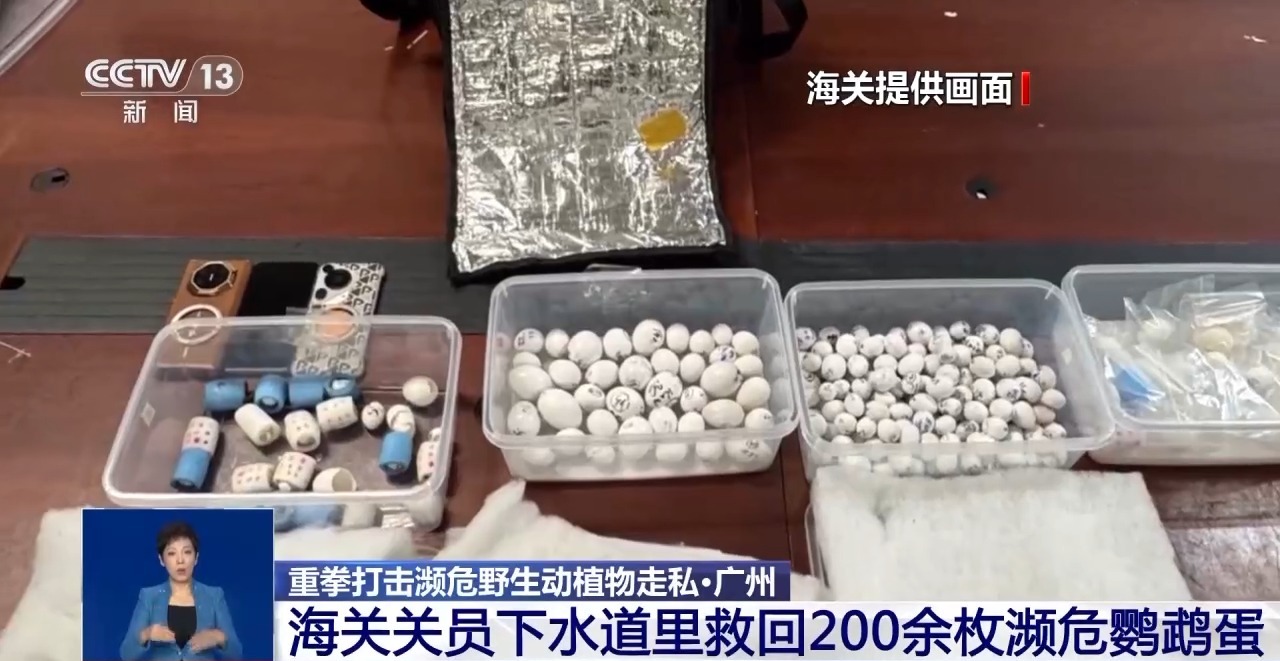重拳打擊走私犯罪 海關(guān)總署查獲瀕危野生動(dòng)植物制品479噸