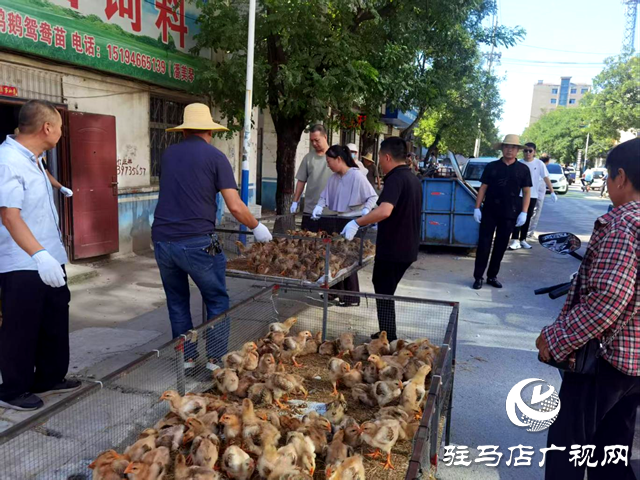 確山縣任店鎮(zhèn)：開展集鎮(zhèn)整治 加強(qiáng)路域管理