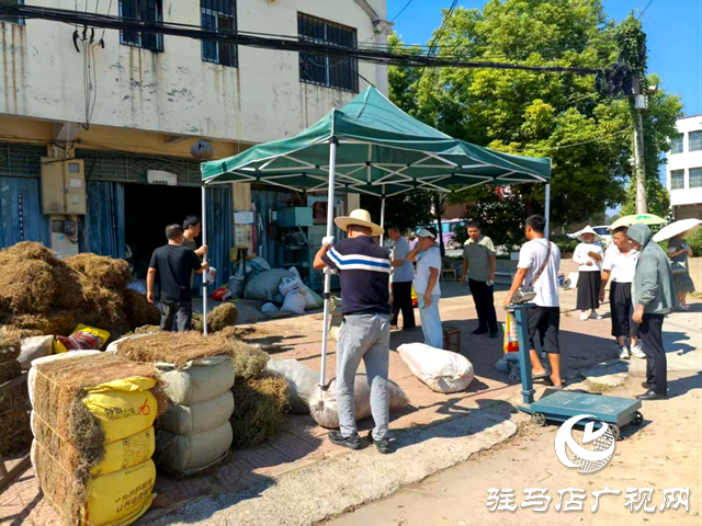 確山縣任店鎮(zhèn)：開展集鎮(zhèn)整治 加強(qiáng)路域管理