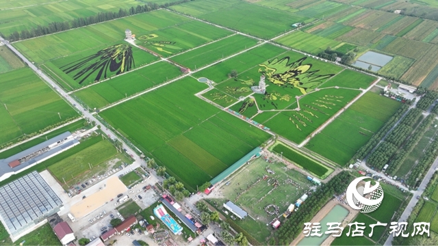 2025年河南省萬(wàn)村千鄉(xiāng)農(nóng)民籃球賽駐馬店賽區(qū)暨社區(qū)運(yùn)動(dòng)會(huì)確山留莊稻田公園站活力開(kāi)幕 
