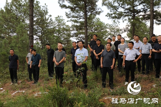全省森林撫育經(jīng)營(yíng)現(xiàn)場(chǎng)推進(jìn)會(huì)在泌陽(yáng)縣召開(kāi)
