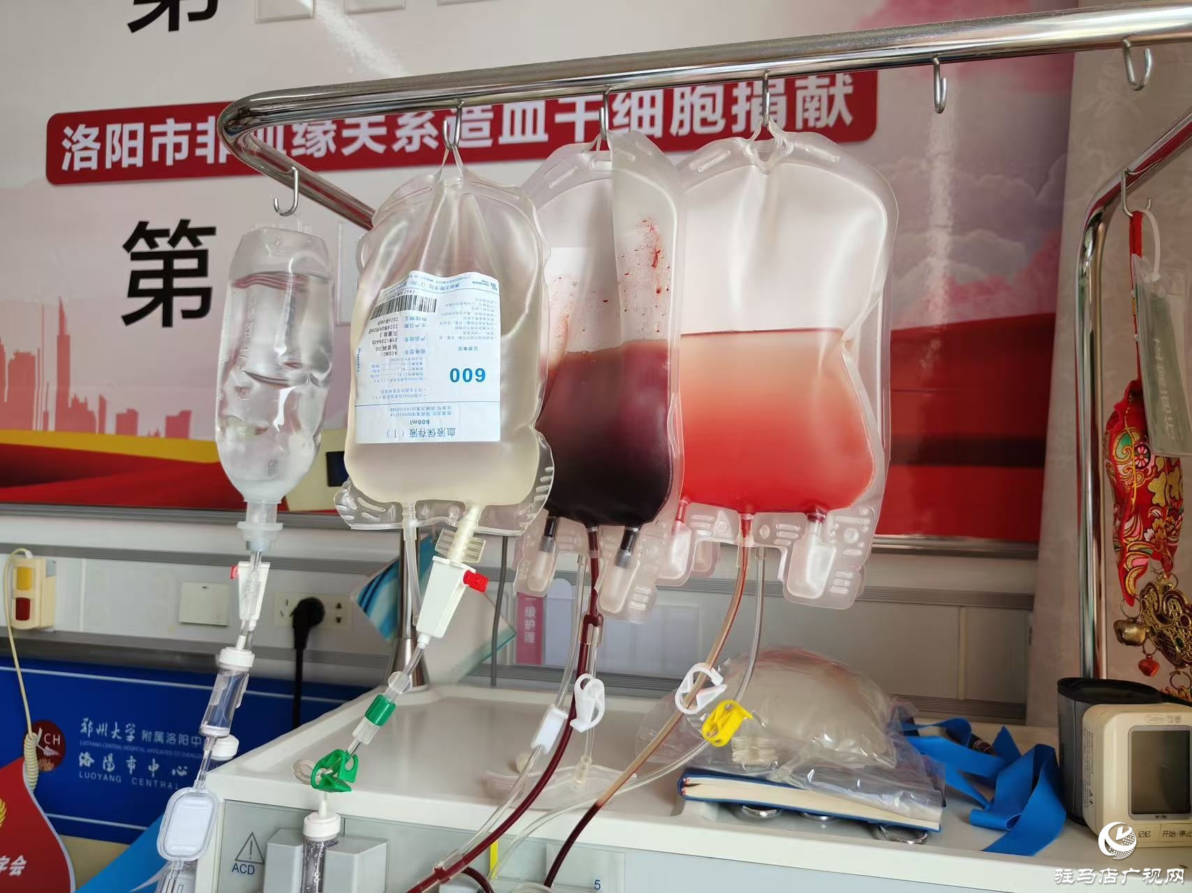 正陽(yáng)縣第7例造血干細(xì)胞捐獻(xiàn)者魏晨光 為他人送去生的希望