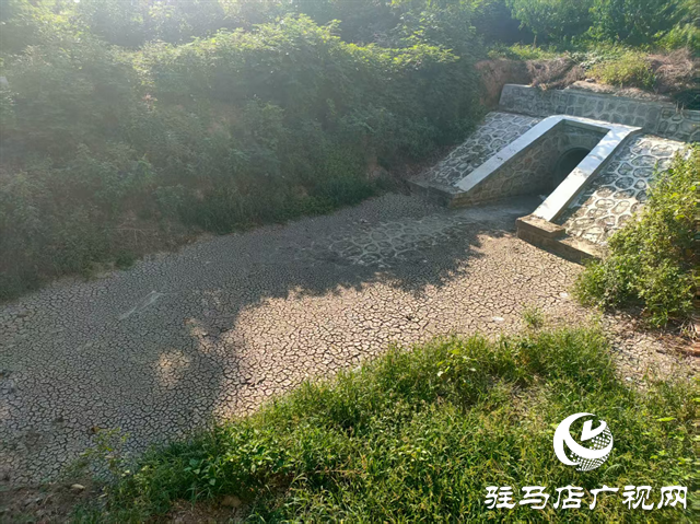  開發(fā)區(qū)城市管理局：扎實開展河道專項巡查 守護城市水生態(tài)