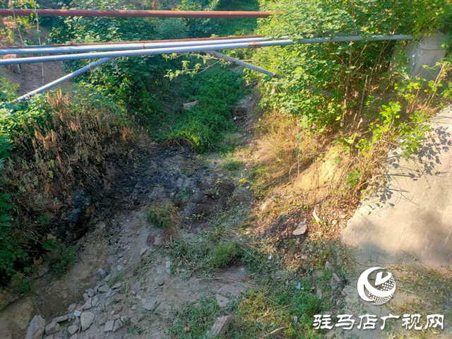  開發(fā)區(qū)城市管理局：扎實開展河道專項巡查 守護城市水生態(tài)