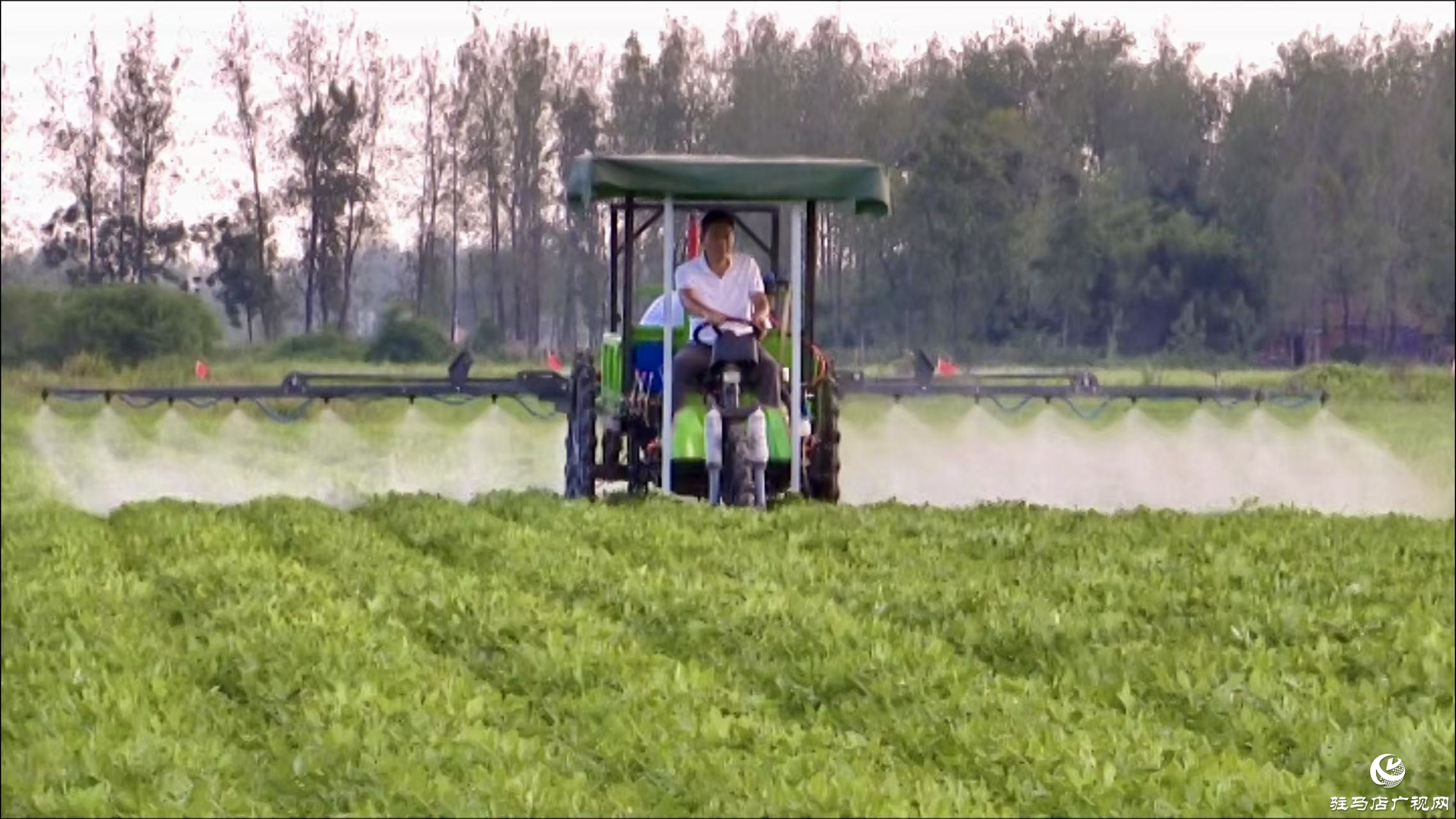 正陽縣：農(nóng)技人員搶抓農(nóng)時 田間&ldquo;把脈問診&rdquo;