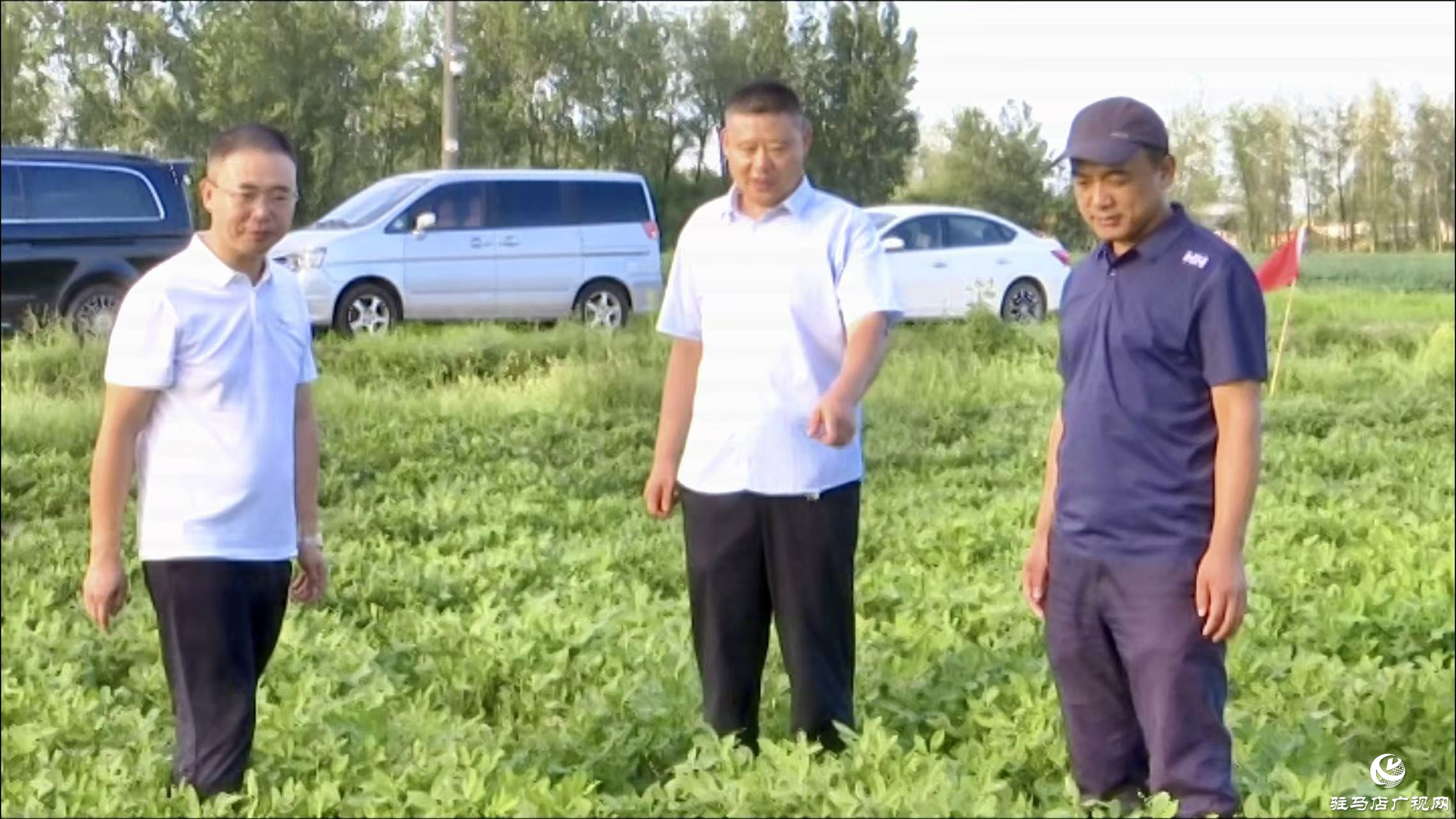 正陽縣：農(nóng)技人員搶抓農(nóng)時 田間&ldquo;把脈問診&rdquo;