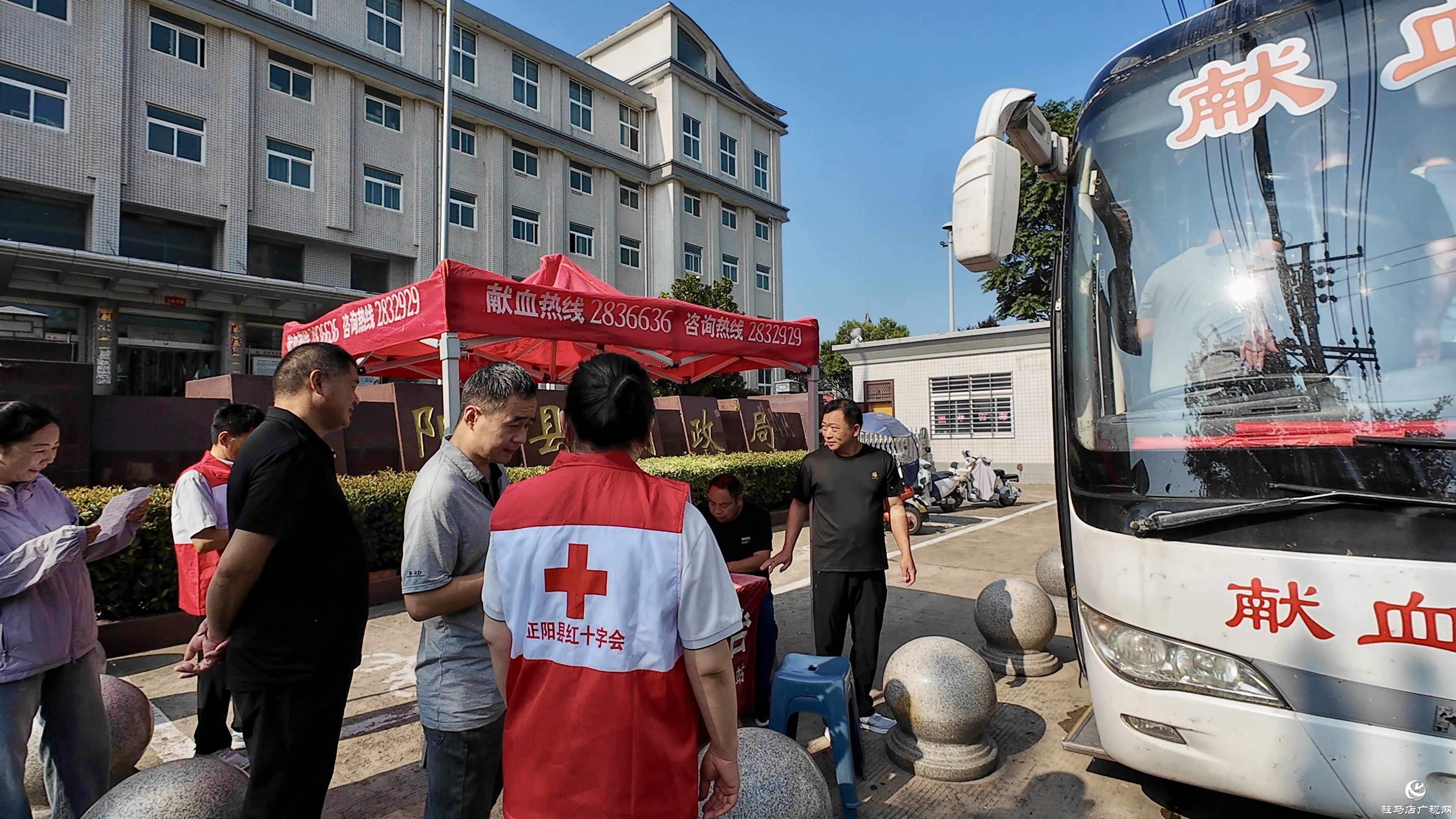 正陽:53名黨員干部獻血1.85萬毫升 為生命接力注入“紅色動能”