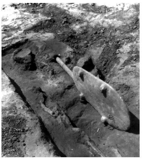 中國人“種地DNA”的源頭，藏在8000年前的河南