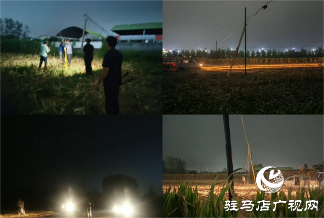 駐馬店聯(lián)通驛城區(qū)分公司連夜搶修倒斷通信桿 全力保障秋收期間網絡暢通
