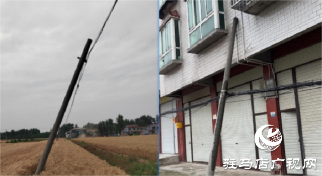 駐馬店聯(lián)通平輿縣分公司采用無人機+AI算法高效開展倒斷桿巡檢工作