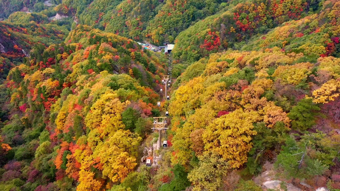 免票！河南這些景區(qū)推出教師專屬福利→