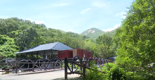 驛城區(qū)金頂山成“天然氧吧” 沉浸式“深呼吸”旅游受追捧